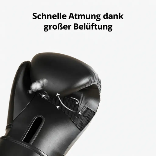 Klassische Boxhandschuhe